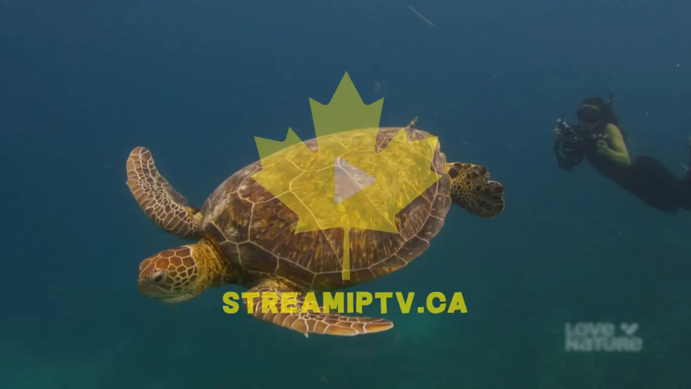 StreamIPTV live channels on a Smart TV — HD streaming in Canada