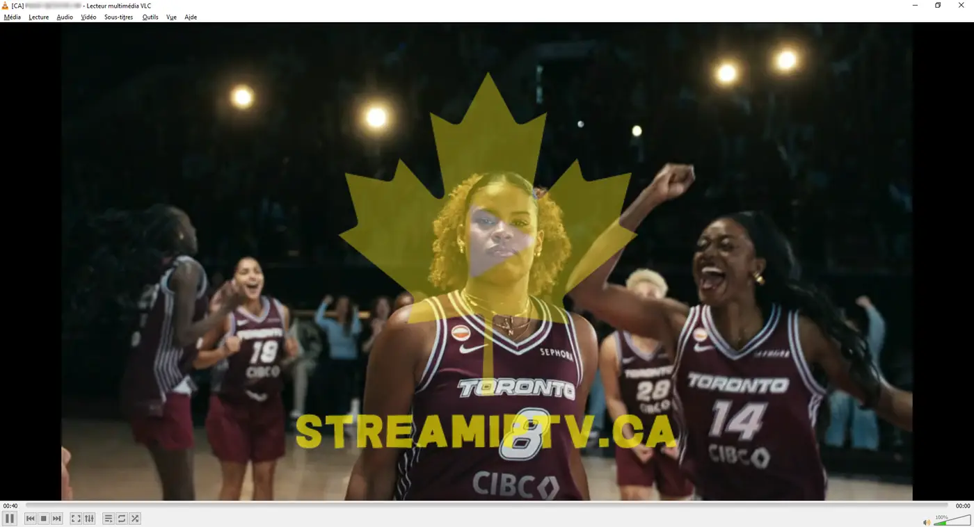StreamIPTV web player in a browser — channel list and live stream